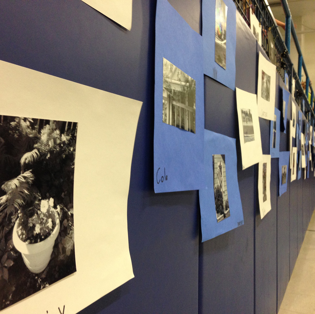 Elementary Students Capture Beautiful Hermann Missouri