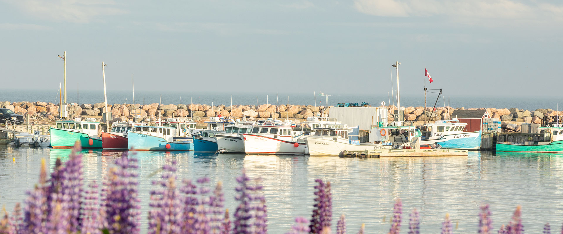 About Us Visit Ingonish Nature's Home