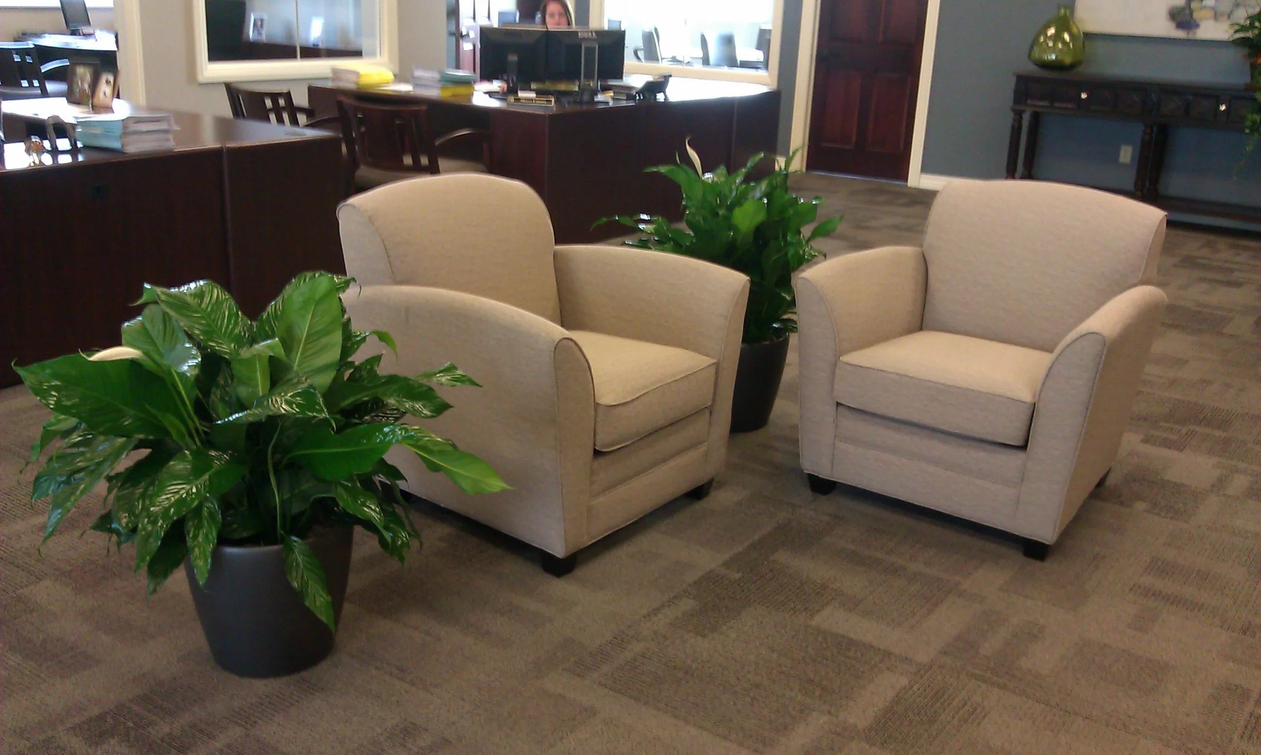 What makes a Good Office Plant Docter's Interior Plantscaping