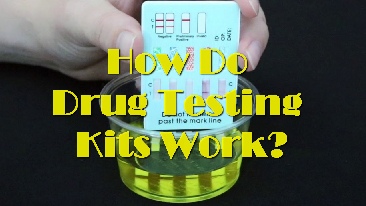 How Do Drug Testing Kits Work? Really Green People