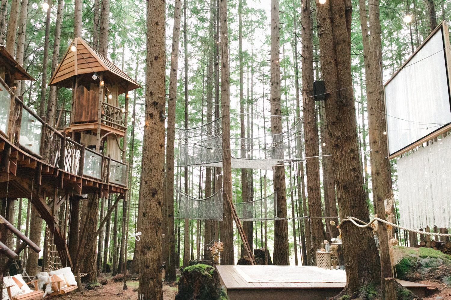 Emerald Forest Treehouse Experience Redmond