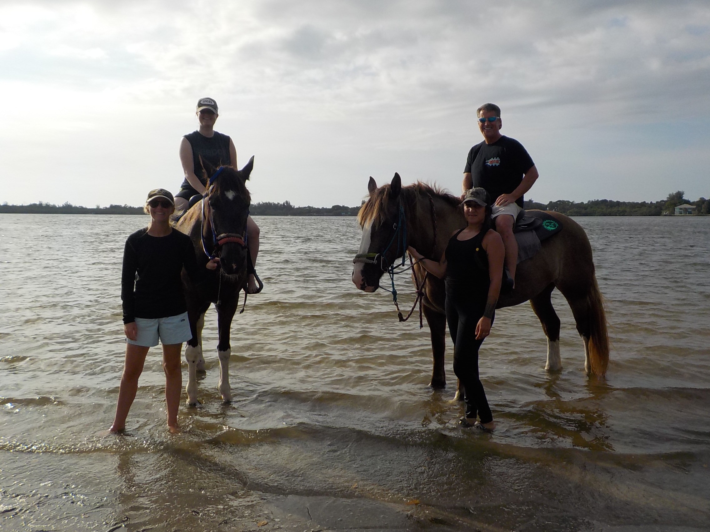 How You Can Horseback Ride on the Beaches of Bradenton Experience