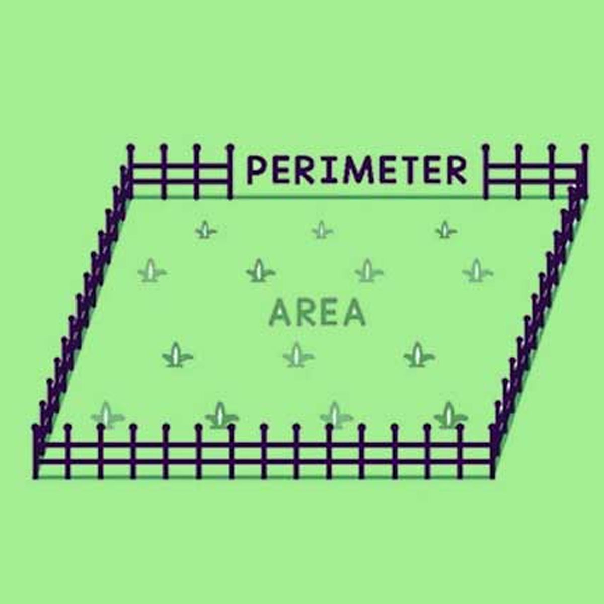 Perimeter and Area – Part 3 – Parallelograms & Circles | Experihub Learning