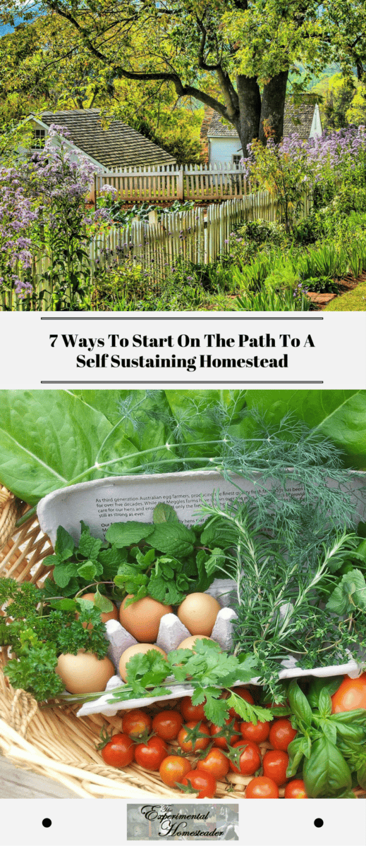 7 Ways To Start On The Path To A Self Sustaining Homestead