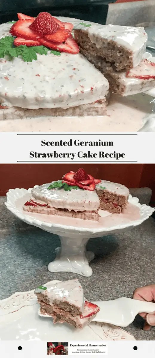 Scented Geranium Strawberry Cake Recipe Experimental Homesteader