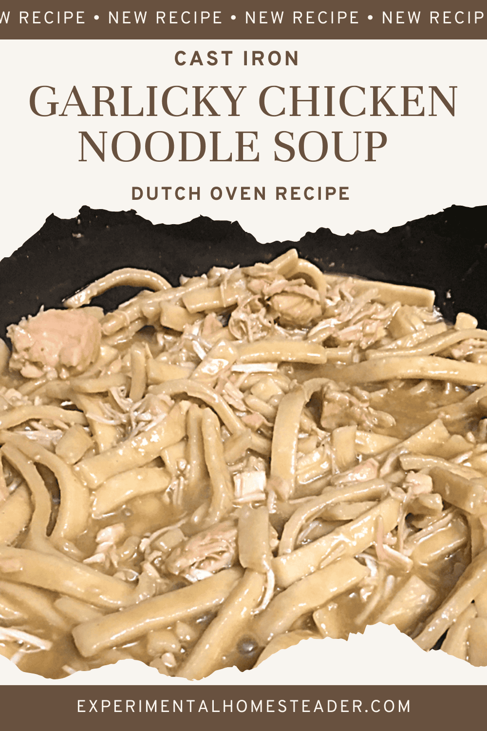 Cast Iron Dutch Oven Garlicky Chicken Noodle Soup Recipe Experimental