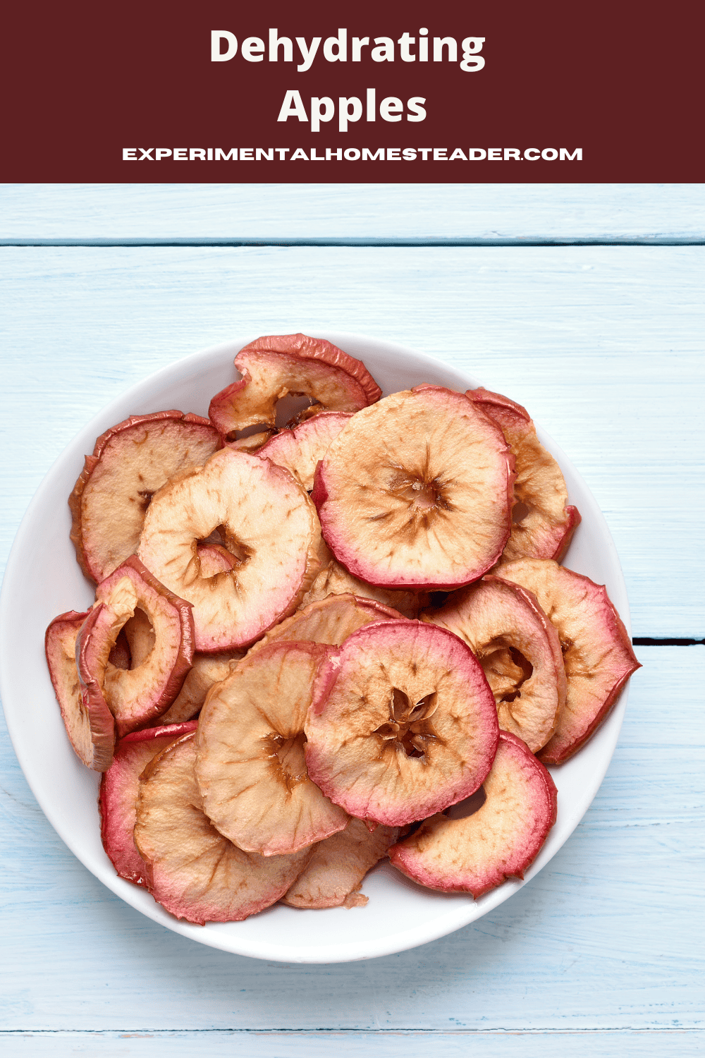 The Ultimate Beginners Guide To Dehydrating Apples Experimental
