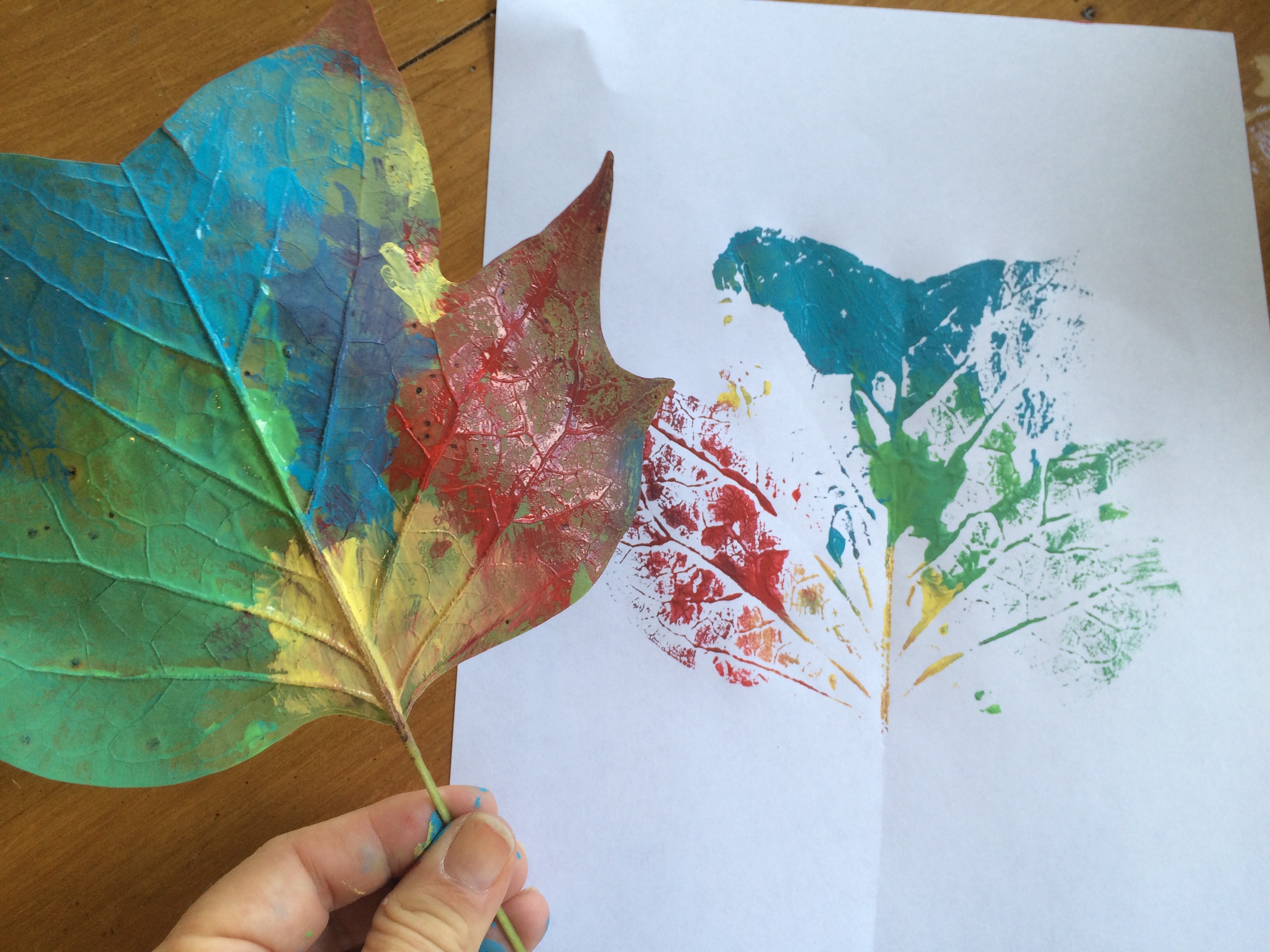 Explore Leaves and Make Rainbow Leaf Prints Experiment Exchange