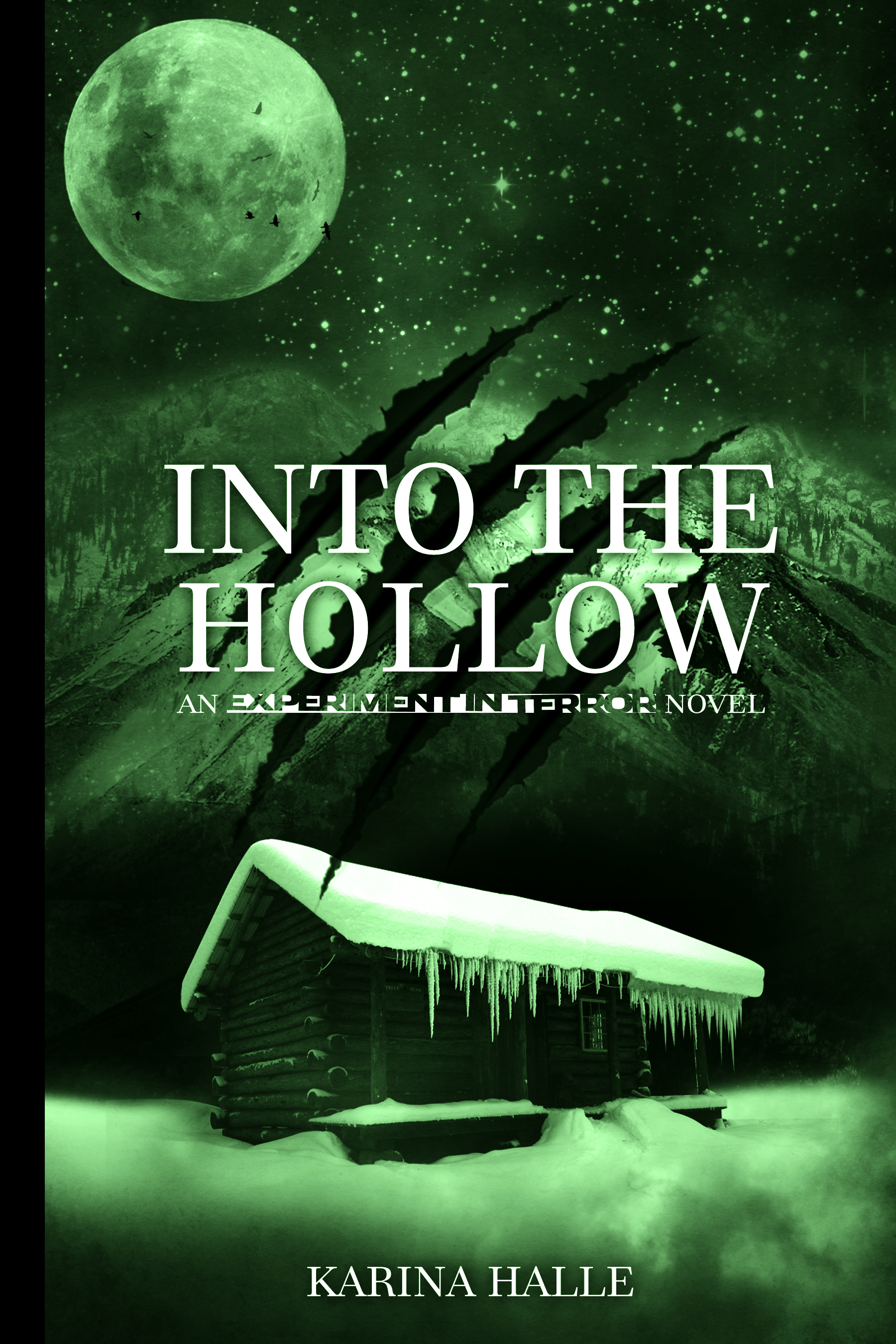 Into the Hollow Teaser 1