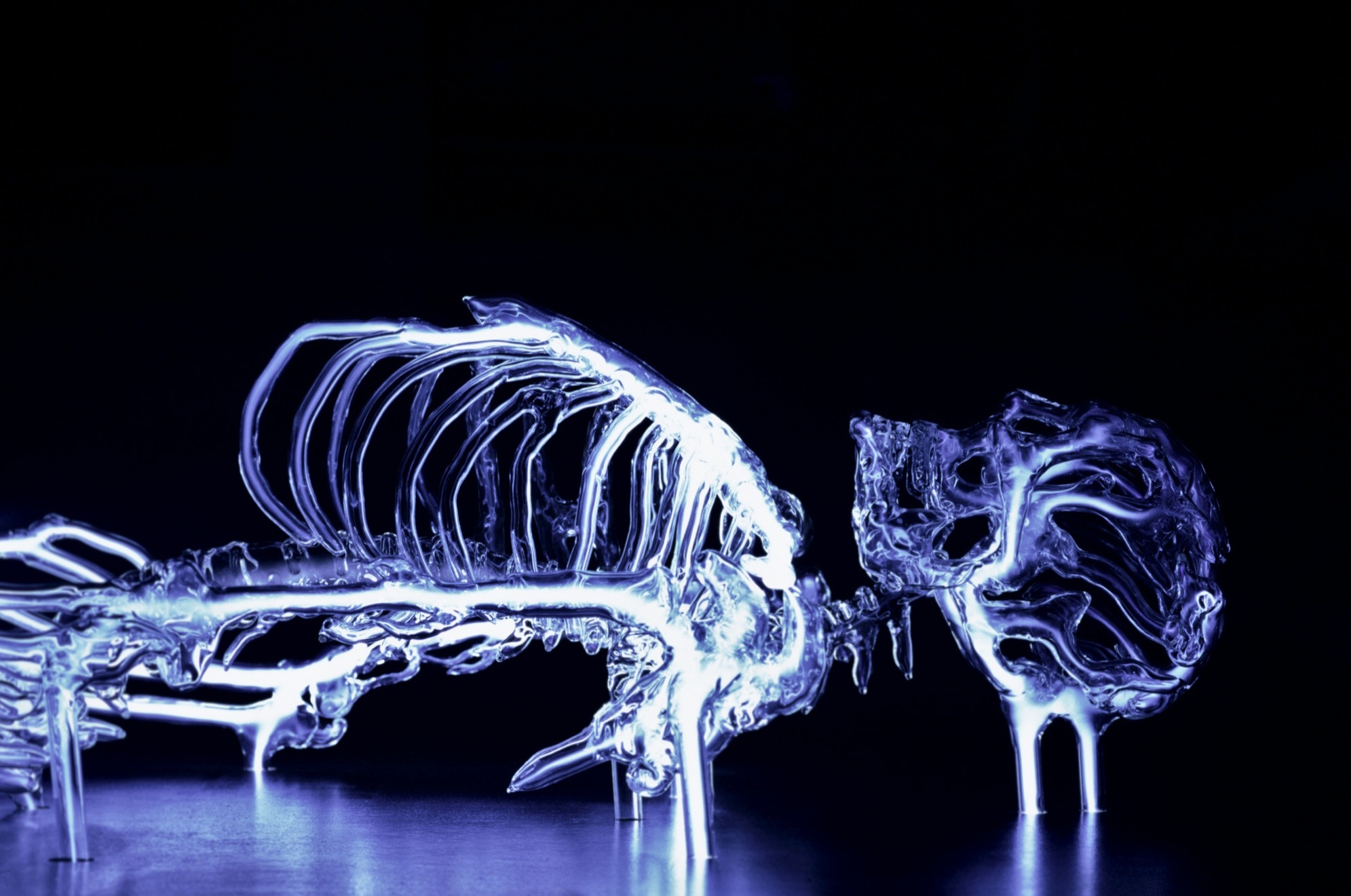 Neon Sculpture by Eric Franklin Experiment with Nature