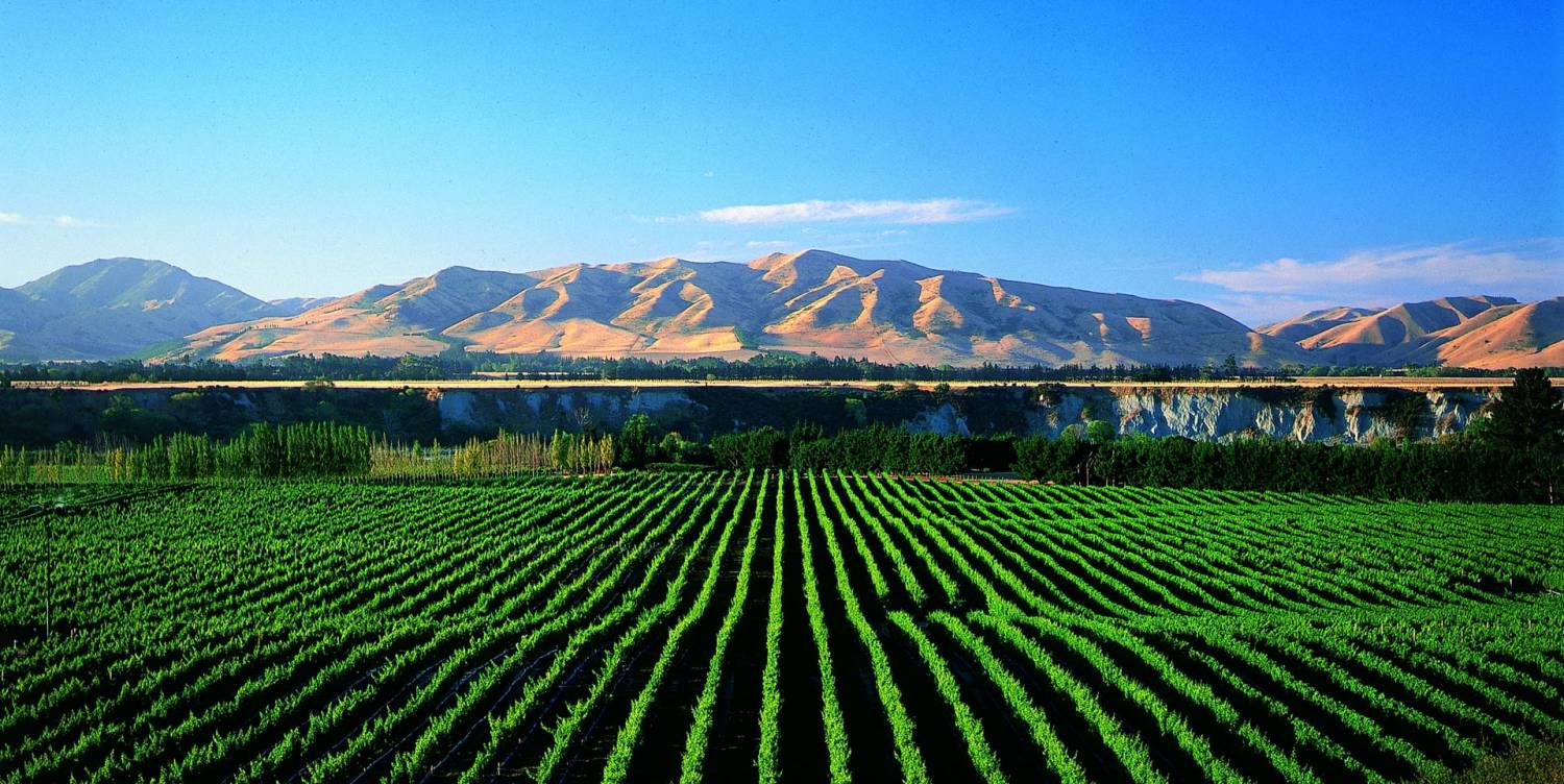 Blenheim Top Tours and Trips