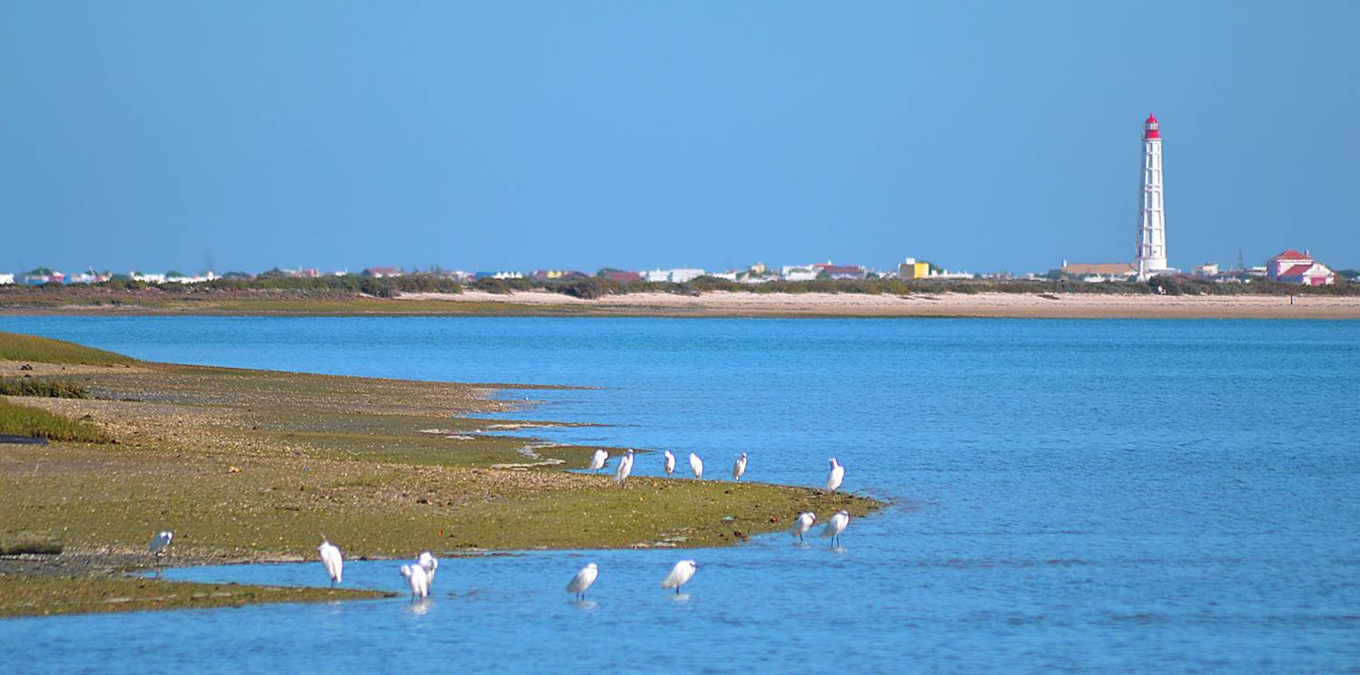 Ria Formosa 4 Îles En Catamaran Tournée À Partir De Faro