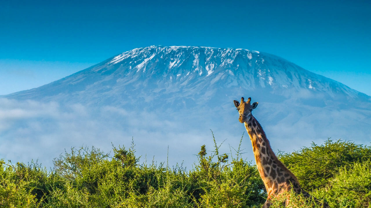 Mount Kilimanjaro Top Tours and Tips