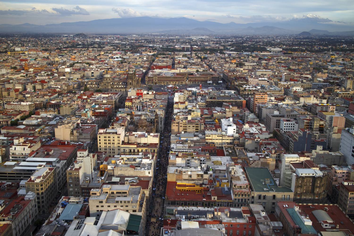 Ciudad de México Top Tours and Trips