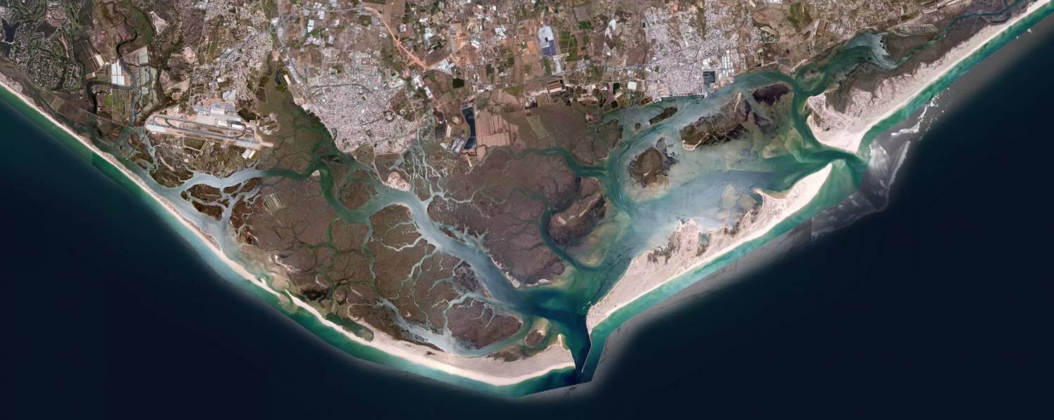 (English) Ria Formosa Boat Tour Armona and Culatra Island