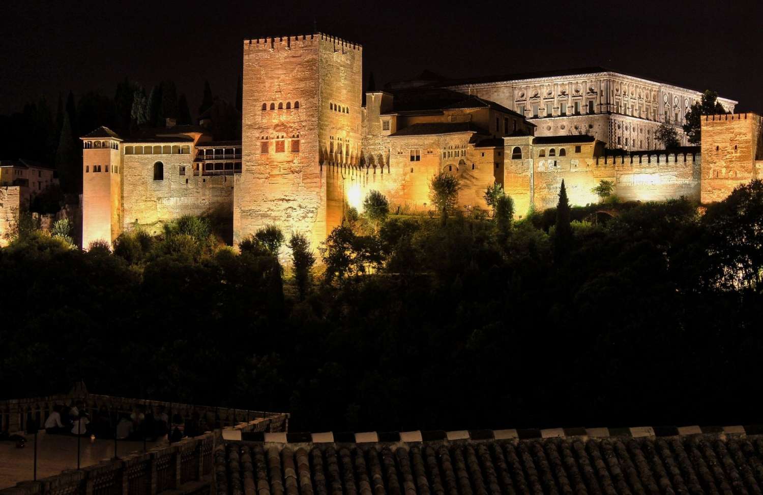 Granada Alhambra Guided Night Tour For Small Groups