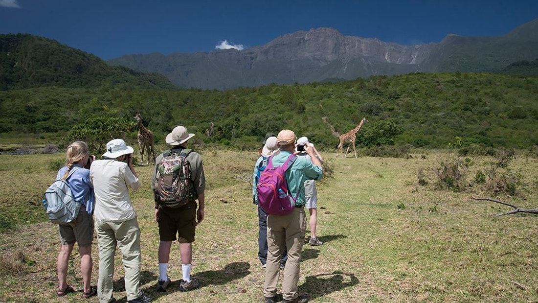 Day Trip Tour To Arusha National Park