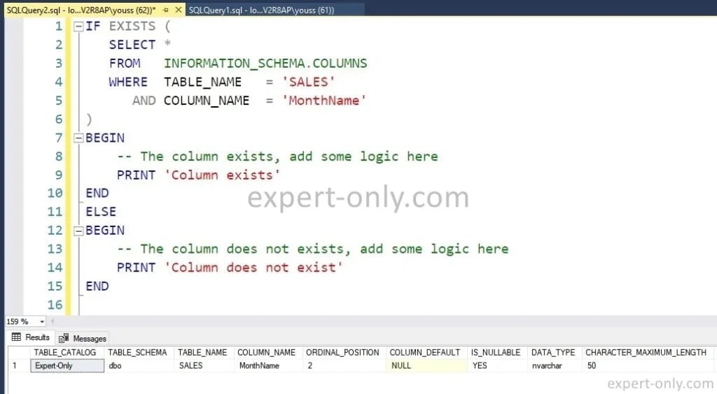 How to check if a column exists in SQL Server ? TSQL