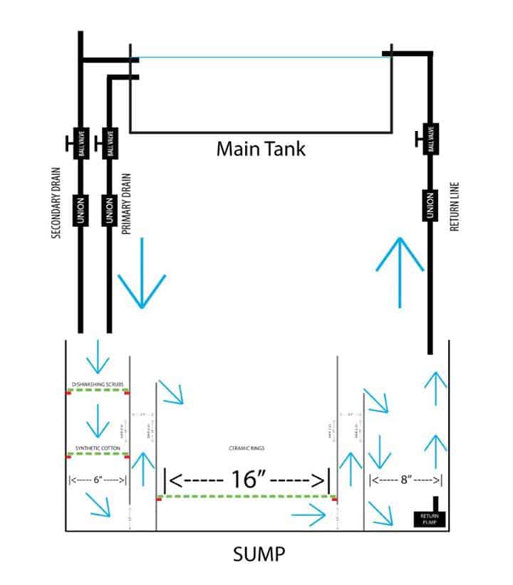 Freshwater Sump Filter What, Why and How? Expert Aquarist
