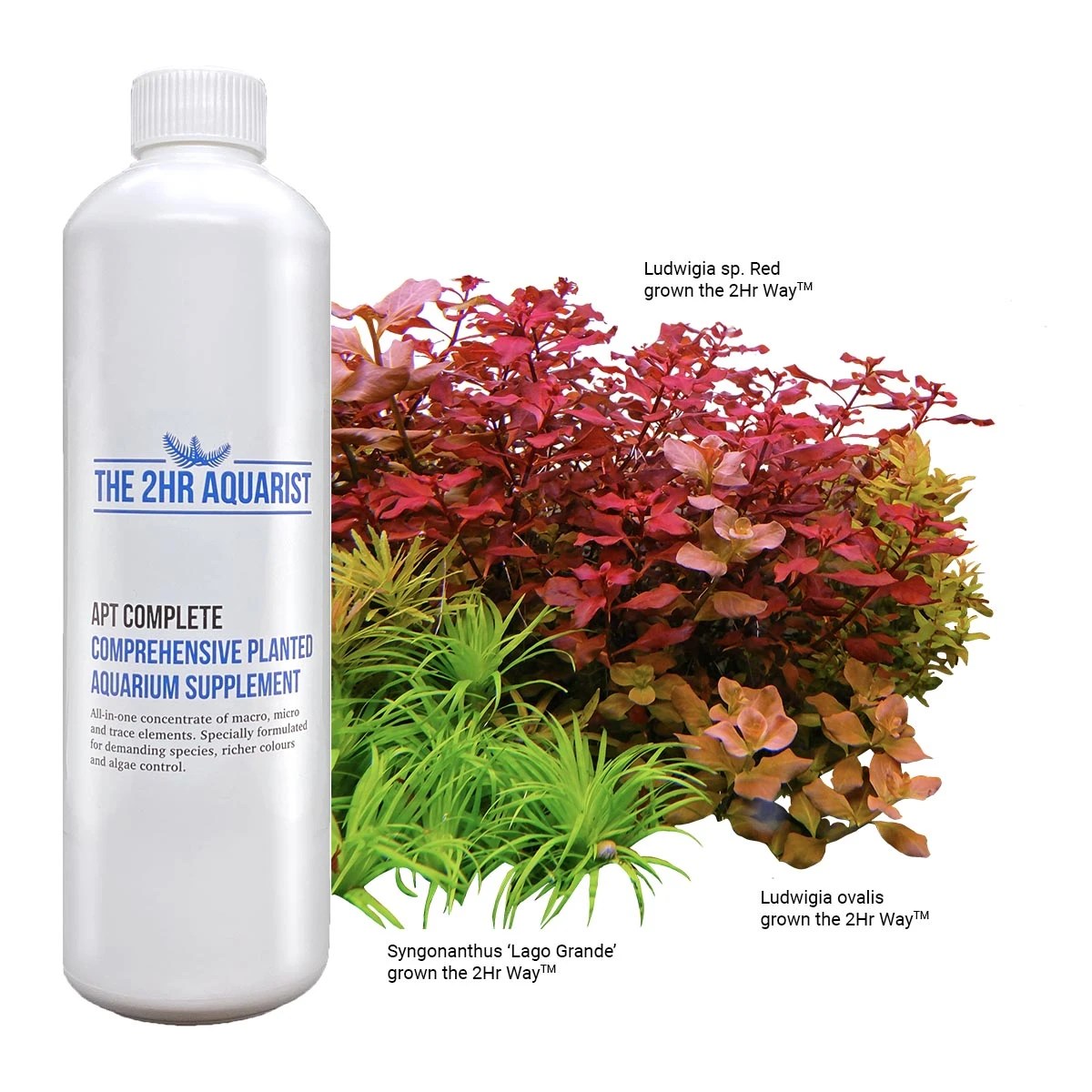 APT Zero Vs APT Complete Vs APT EI Planted Tank Fertilizer