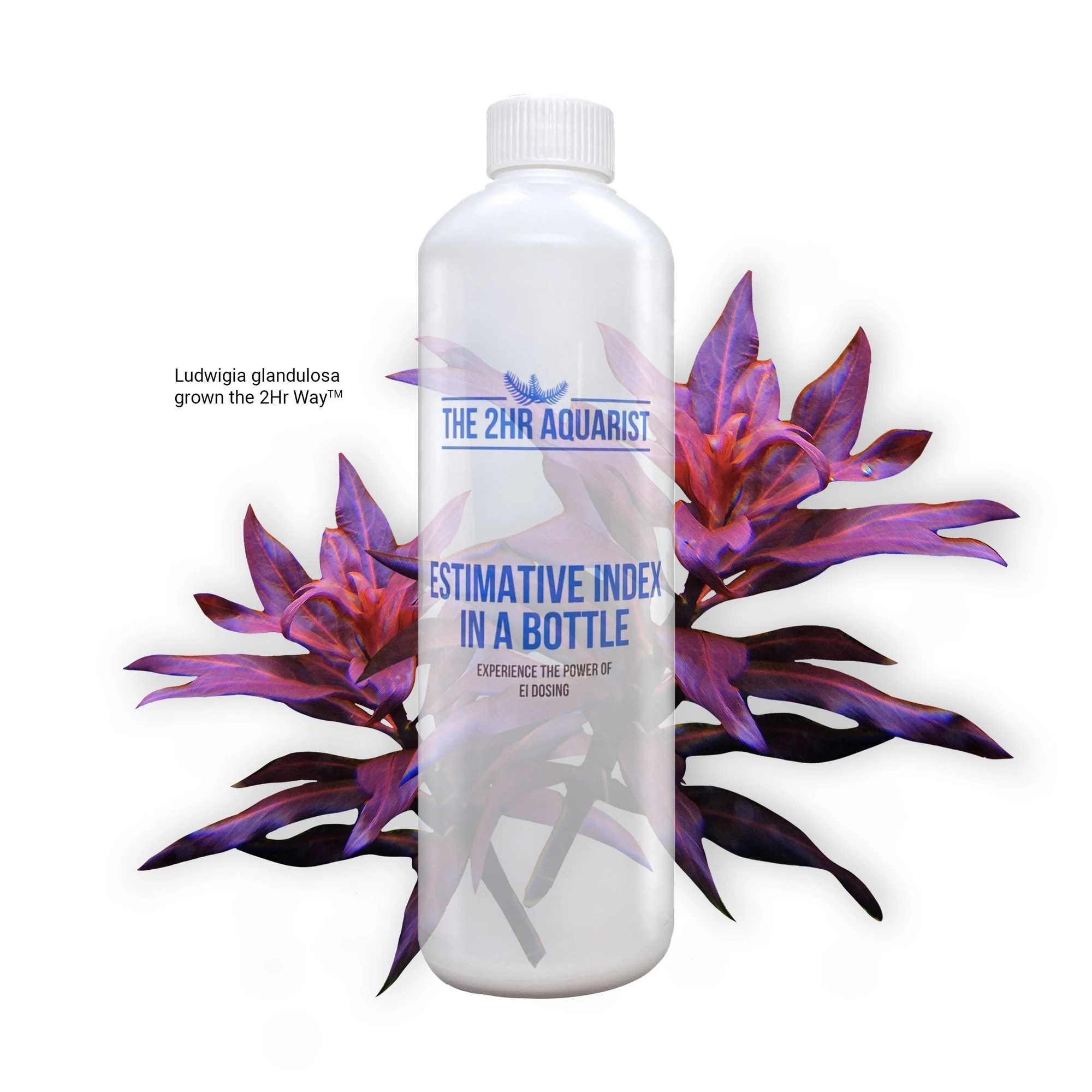 APT Zero Vs APT Complete Vs APT EI Planted Tank Fertilizer