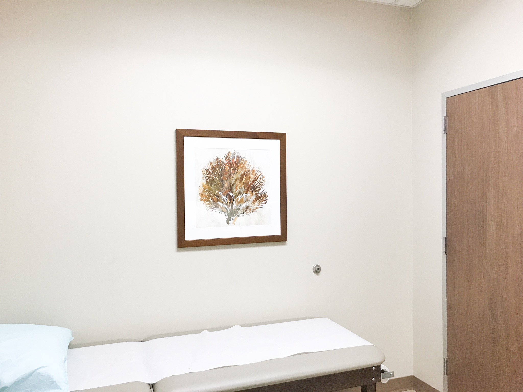 Expert Art Services Art Installation & Picture Hanging Houston