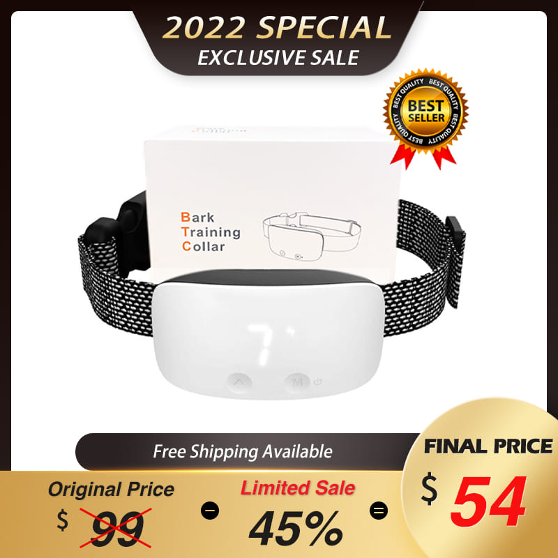 5 Best Bark Collar for Dogs in 2022 Best Value Complete Review