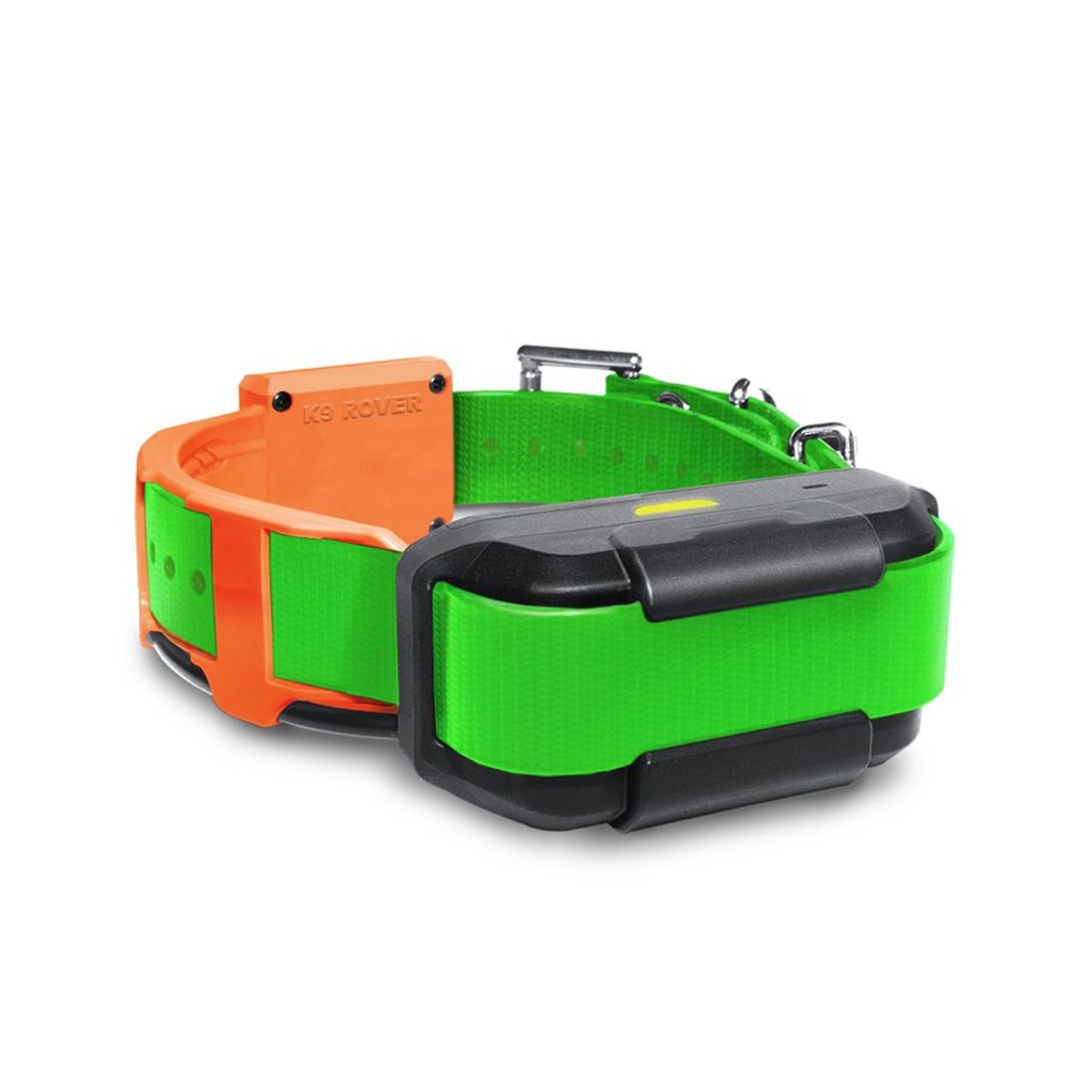 2024 Best 5 GPS Wireless Dog Fence Collar Complete Review