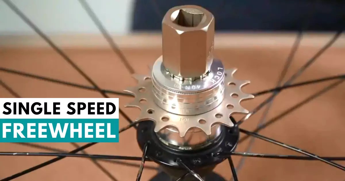 5 Best Single Speed Freewheel for Your Bike [2023]