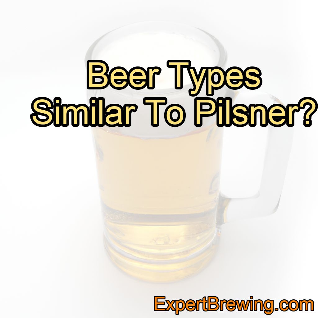 Beer Types Similar To Pilsner Exploring the World of Crisp and