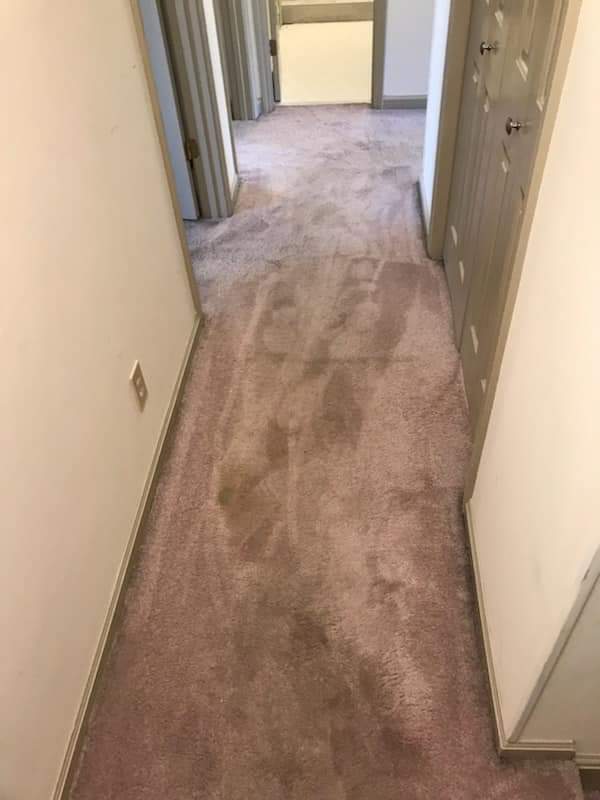 Best Carpet Repair & Restretching Services Near Me