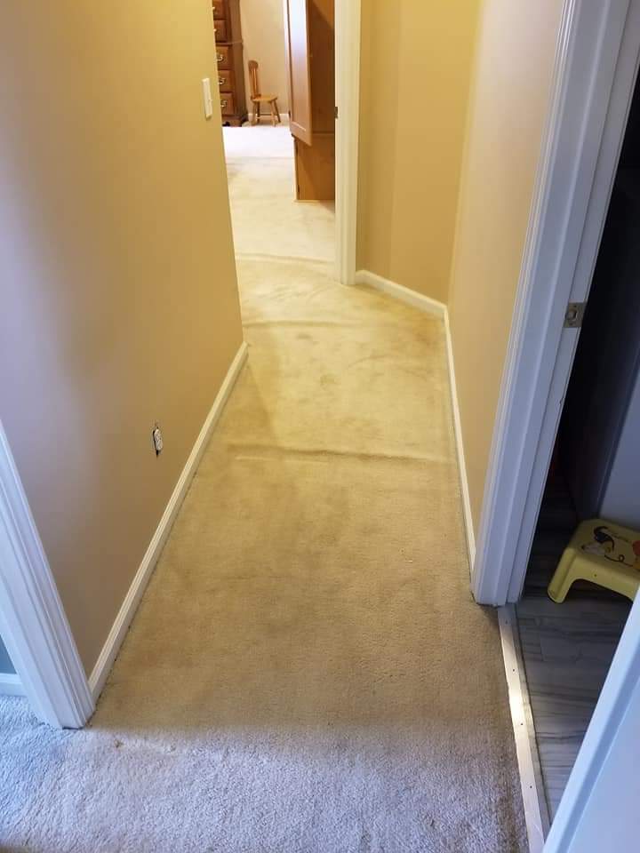 Best Carpet Repair & Restretching Services Near Me