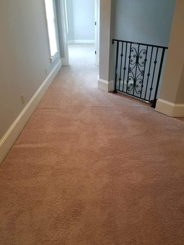 Best Carpet Repair & Restretching Services Near Me