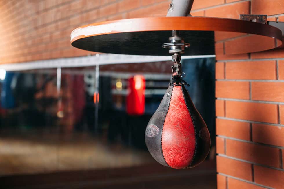Professional Speed Bag Swivel Reviews