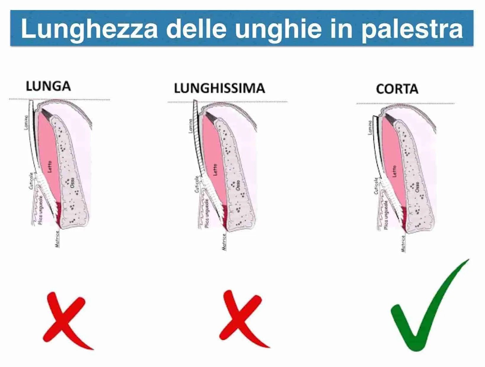 You don't need long nails in the gym Fighting Tips Street Fight