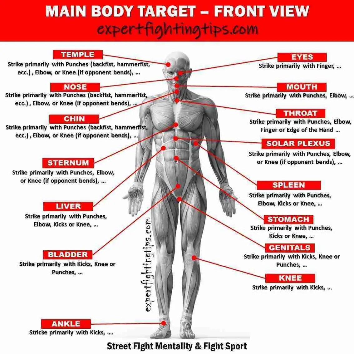 The main targets of the human body Fighting Tips Street Fight