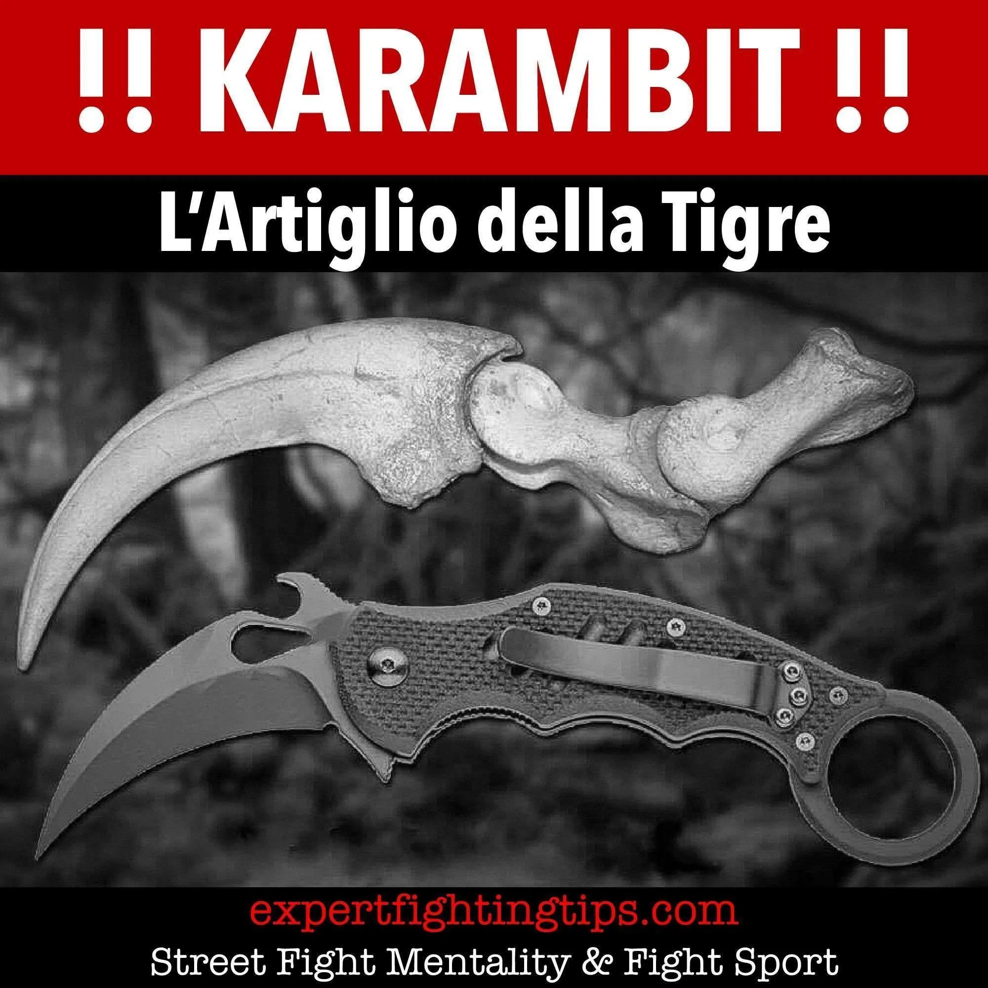 Karambit Knife Fighting