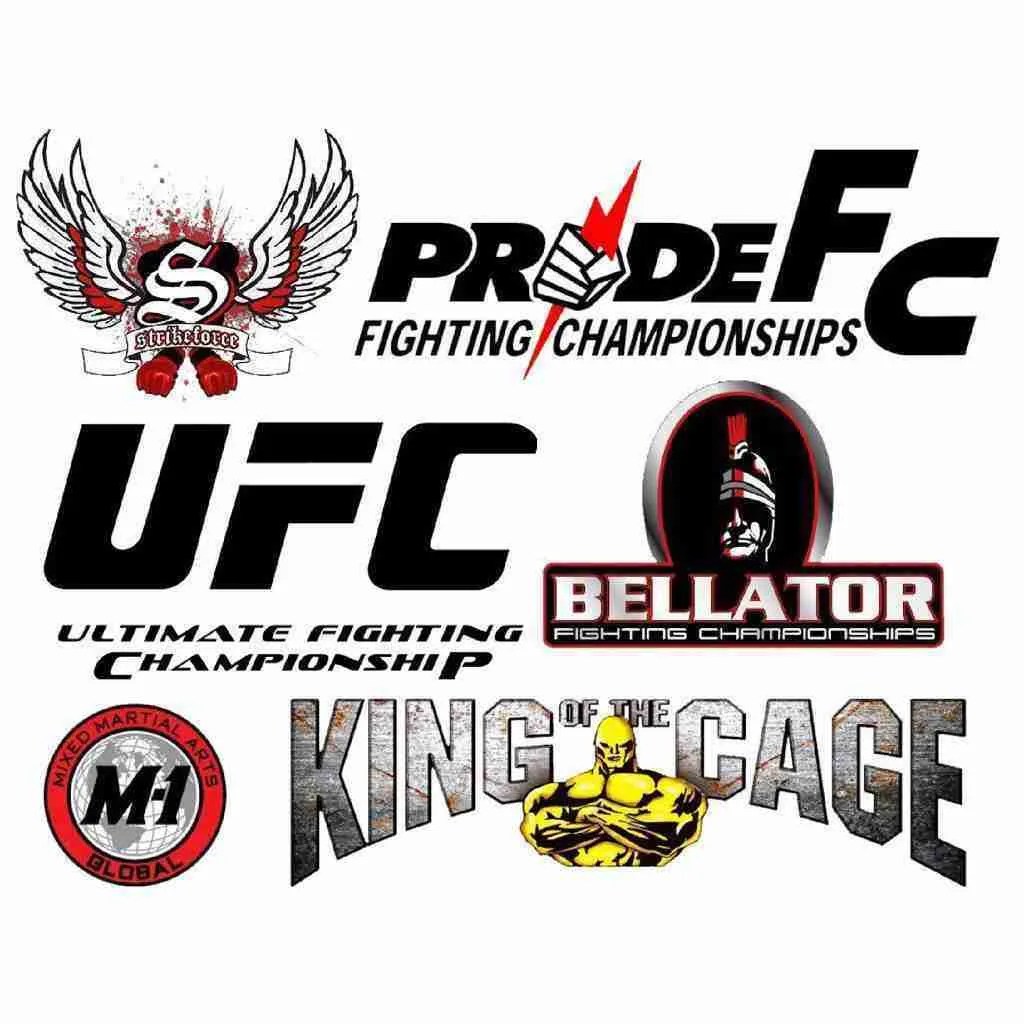 MMA Tournaments Fighting Tips Street Fight Mentality & Fight Sport