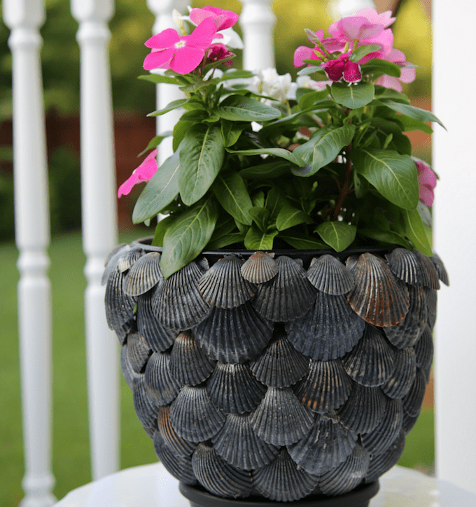 14 easy & cheap ideas that will TRANSFORM your garden Expert Home Tips