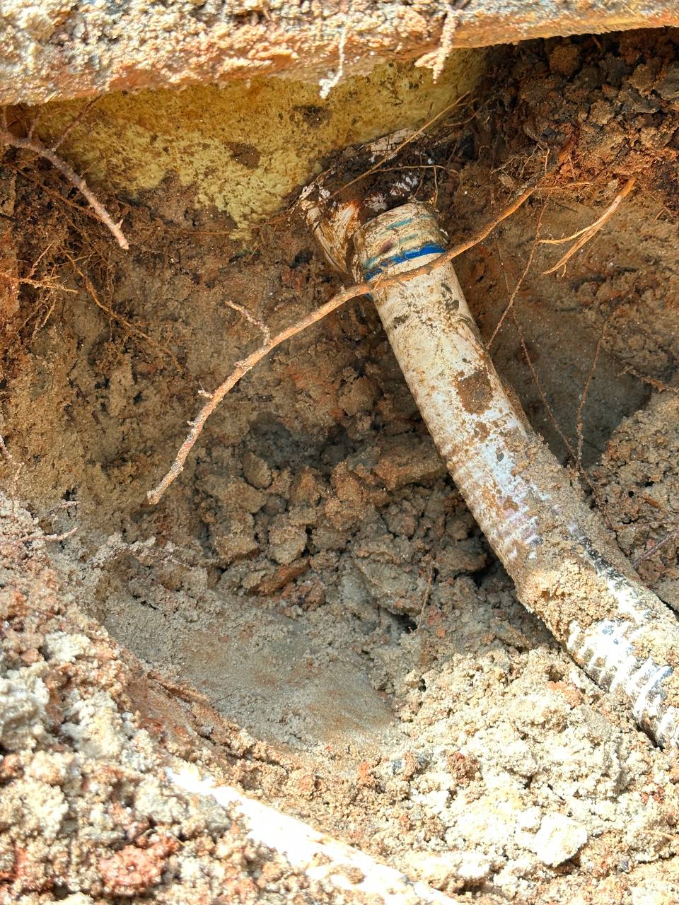 Leak Pool Detection - Expert Leak Pool Detection