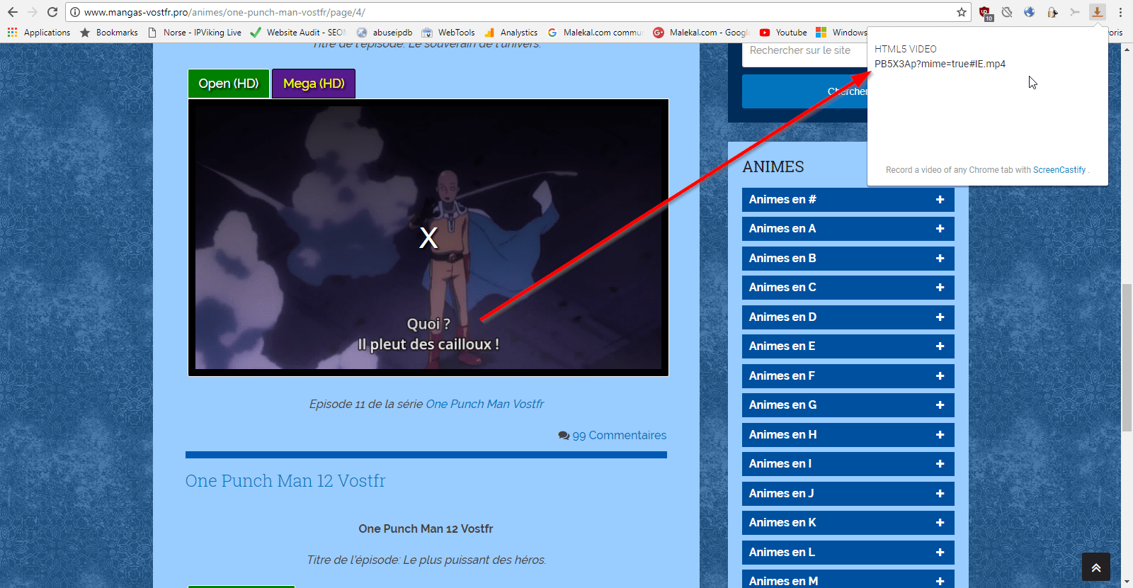 Télécharger un film ou vidéo depuis un site de streaming sur Google Chrome