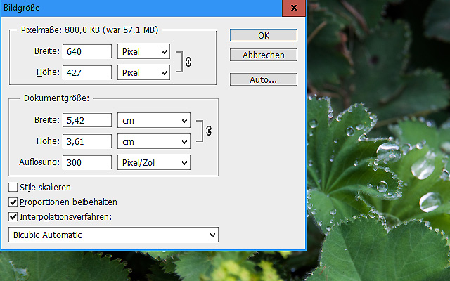 Bildverkleinerung ohne Qualitätsverlust. Aktionen in