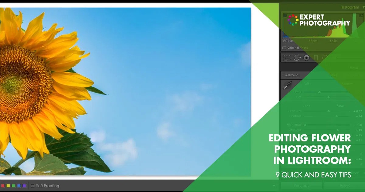 9 Tips For Editing Flower Photography in Lightroom