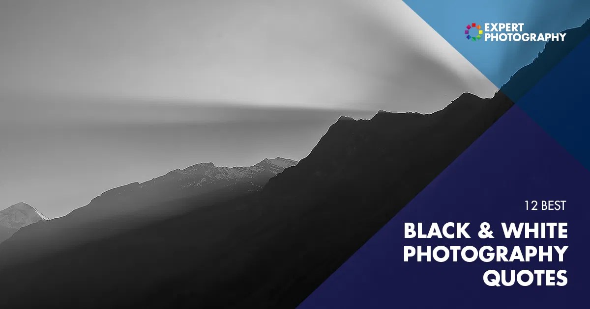 12 Best Black and White Quotes Photography Inspiration