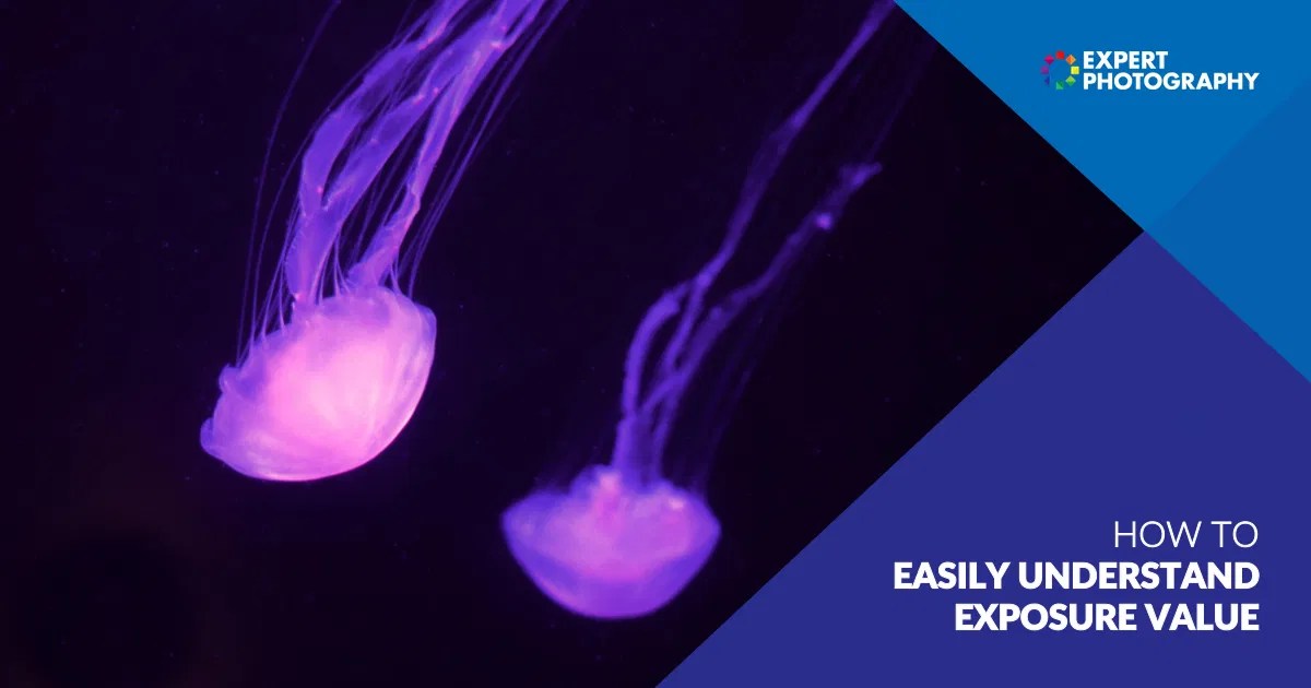 How To Easily Understand Exposure Value Photography Basics