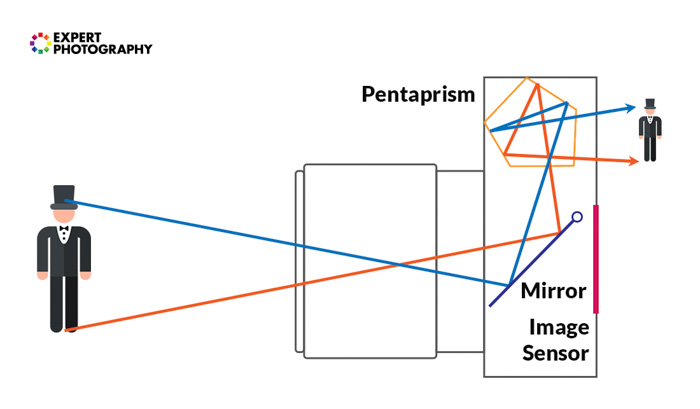 Camera Lens Guide (Parts, Functions and Types Explained!)