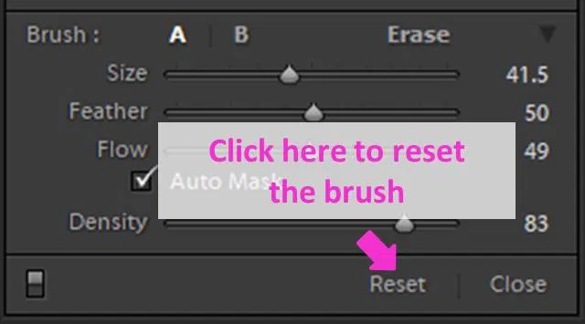 How to Use the Lightroom Adjustment Brush Tool
