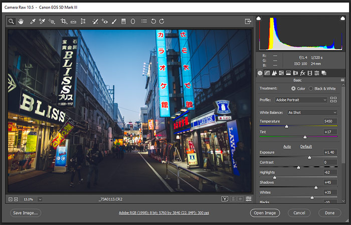 What Is Adobe Camera Raw? (And How to Get Started!)