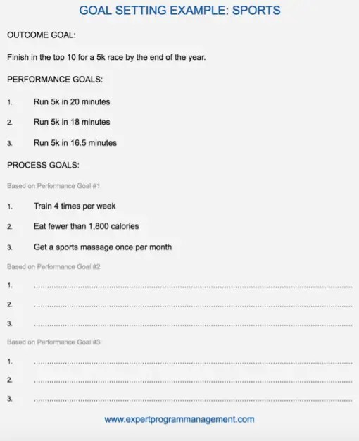 Goal Setting Example Sports Expert Program Management