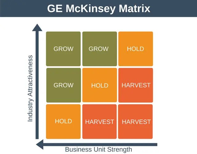 GE McKinsey Matrix Strategy & Portfolio Training from EPM